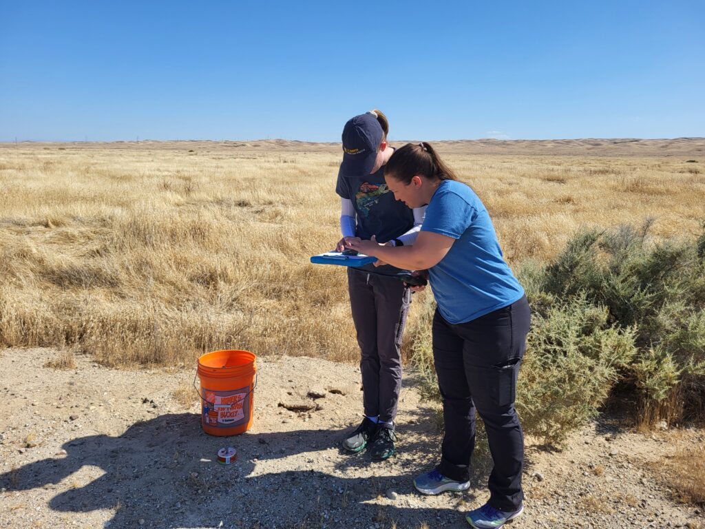 Two biologists work together to enter data on a spreadsheet in the San Joaquin Desert on a sunny summer day.