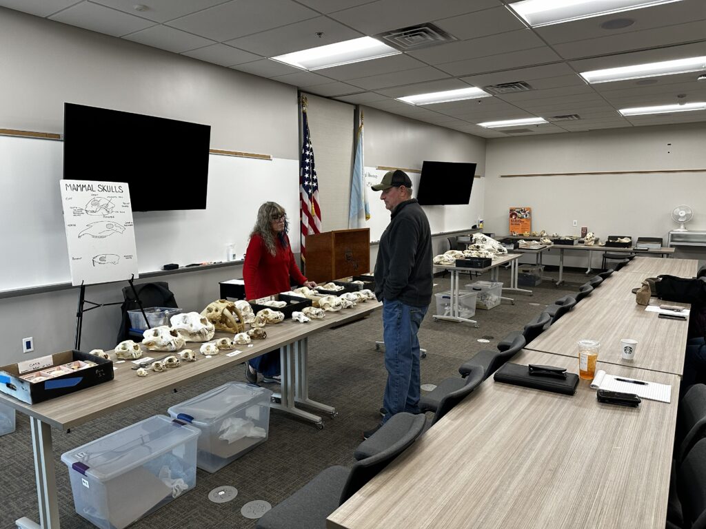 Skulls Workshop (Photo by Ashleigh Pryor)